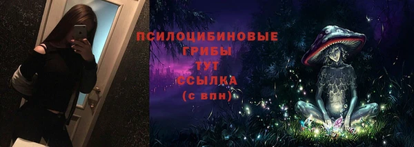 эйфоретик Сатка