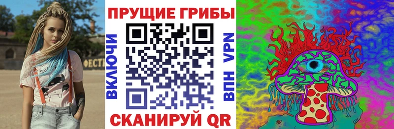 где можно купить   Кадников  Галлюциногенные грибы MAGIC MUSHROOMS 